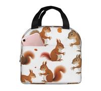 WOPQS Cute Squirrel Lunch Bag Handheld Bento Bag Adults Lunch Box Office Portable Insulated Leakproof
