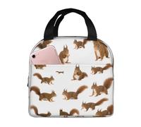 WOPQS Cute Squirrel Lunch Bag Handheld Bento Bag Adults Lunch Box Office Portable Insulated Leakproof