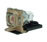 Woprolight 59.J9901.CG1 Projector Replacement Compatible Lamp with Housing for Benq PB6110 PB6120 PB6210 PE5120