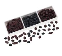 Woration 150g Simulated Dried Fruit with Bowl Set Artificial Dried Grape & Cranberries & Blueberries Food Model Home Kitchen Table Decoration