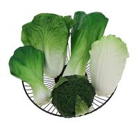Woration Green Artificial Vegetables Set Lifelike Lettuce Broccoli Cabbage PU Food Model Decoration for Home Kitchen Shop Cabinet Supermarket Garden DIY Garland 5pcs