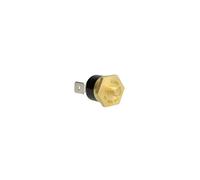 Worcester Bosch 87229638580 Temperature Limit Sensor
