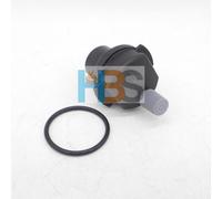 Worcester Bosch air Vent Valve 87161064450