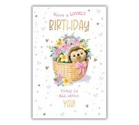 Word n wishes Birthday Card for Her, Cute Hedgehog in Flower Basket, 13.4 x 20.3 cm, Multi-coloured