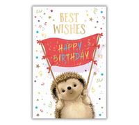 Word n wishes Birthday Card for Him, Cute Hedgehog Holding Happy Birthday Banner, 13.4 x 20.3 cm, Multi-coloured