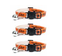 Worded Cat Collars with Bell - Please Do Not Feed Me, I Am Microchipped | Safe Quick Release Breakaway Buckle | Zacal Cat Collars (3. Orange, I Am Microchipped, Pack of 3)