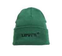 Wordmark Beanie in Regular Green