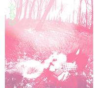 Words from a wishing well