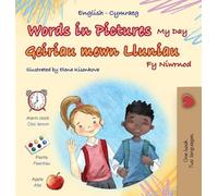 Words in Pictures - My Day (English Welsh Bilingual Children's Book) (English Welsh Bilingual Collection)