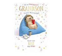 Words 'n' Wishes Fantastic Grandson Birthday Card for Boys - Hedgehog Beanbag Relaxing Embossed with Foil Details - Eco-Friendly