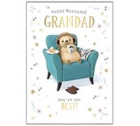 Words 'n' Wishes Grandad Birthday Card - Happy Birthday Card with a Relaxed Hedgehog Design and Foil Details - Birthday Card for Men