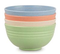 Worephu Light Weight Bowls Set of 4, Plastic Bowls, Unbreakable and Reusable Bowls Set for Rice, Noodles, Soup, Fruit（Mutil Color）