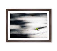 Worker Ant by Framed Print | A2 Walnut Framed Wall Art | Ready to Hang | Modern Nature Picture | Living Room Bedroom Lounge Office