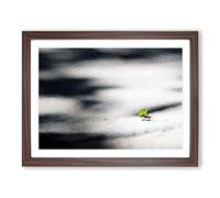Worker Ant By Modern Art Framed Print | A3 Walnut Framed Wall Art | Ready to Hang | Modern Nature Picture | Living Room Bedroom Lounge Office