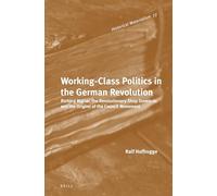 Working Class Politics in the German Revolution: Richard Müller, the Revolutionary Shop Stewards and the Origins of the Council Movement: 77 (Historical Materialism Book Series, 77)
