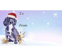 Working Cocker Spaniel Dog Christmas Labels No. 7. Design (42) - Self Adhesive - Fun Novelty Dog Gift Lovely Birthday Christmas Mothers/Fathers Day Present Idea Brand: Starprint