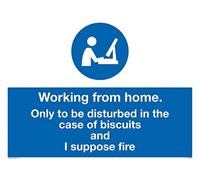 Working from home. Only to be disturbed in the case of biscuits and I suppose fire