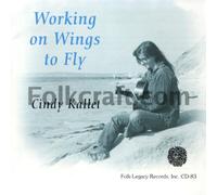 Working on Wings to Fly