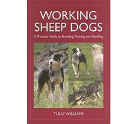 Working Sheep Dogs: A Practical Guide to Breeding, Training and Handling (Landlinks Press)