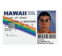 WORKIRAN Driver Licence Sticker | Covering & Personalizing | No Bubble, Slim, Waterproofcard (Model4)