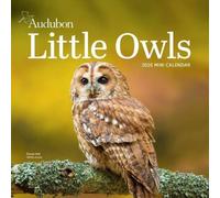 Workman Calendars Audubon Little Owls Mini Wall Calendar 2026 Calendar Book Workman Calendars Multicolor