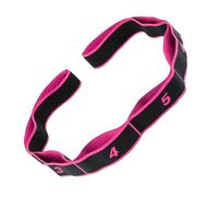 Workout Bands - 8 Section Numbered Stretch Strap, Elastic Resistance Training Band, loopDesign | Stretching Strap For Yoga Pilates And Strength Workouts, For Home Gym Full Body Exercise