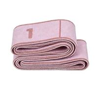 Workout Resistance Bands,Numbered Exercise Equipment - Stretching Tension Strap,for Women Men Athletes Beginners Professionals Travelers Hotel Office Park Apartment Home