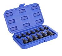 WORKPRO 13-Piece Torx Bit Socket Set, Allen Socket Set, Torx Sockets(T8-T60), Premium S2 Steel Star Bits and Cr-V Sockets with Storage Case, 1/4", 3/8" and 1/2" Drive