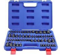 WORKPRO 60-Piece Master Torx Bit Socket Set, 1/4", 3/8", 1/2" Drive Bits, E4-E24, T6-T70, TT6-TT70, TP8-TP60, with Enhanced Storage Case