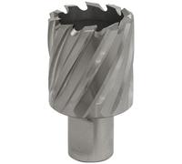 Sealey RBHSS13S Rotabor Cutter Hss Ø13Mm - Cut Depth 25Mm
