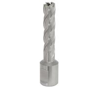 Sealey Rotabor Weldon Shank HSS Mag Drill Cutter RBHSS20S Ø20mm Cut Depth 25mm