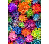 WorksyZen Magic Serene Moonlight Beach 5D Diamond Painting | Calming Night Scene with Ocean Waves, Rocks & Distant Lights | Seaside Full Drill DIY Wall Art for Relaxation (Succulent)