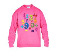 World Book Day Boys Sweatshirt Math Numbers Colors Plus Minus Kids Girls UnisexSchool Gift Jumper Safety Pink - Youth Large (Age 9-11)