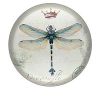 World Buyers Nature Under Glass Paperweights (Crowned Dragonfly)