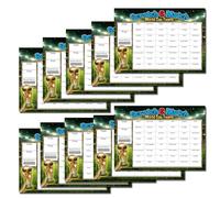 World Cup 2026 Fundraising Scratchcard - A4 Scratch Card Team Draw - Football Office & Pub Fundraiser, 48 Teams, Easy Winner Reveal (10 Pack Scratchcards)