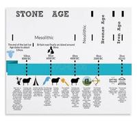 World History Poster Stone Age Timeline