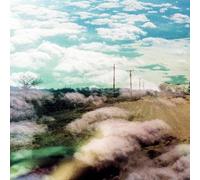 World Is a Beautiful Place & I Am No Longer Afraid - Always Foreign [VINYL]