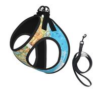 World Map print Dog Harness and Leash Set, Reflective Adjustable Puppy Vest for Small Medium Large Dogs, Cats