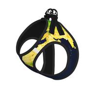 World Map Print Pet Leash Vest Reflective Adjustable Soft Mesh Vest Breathable For Daily Walks