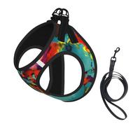 World Map Print Small Dog Harness with Leash Set, No Escape Easy Walk Puppy Harnesses for Training Walking