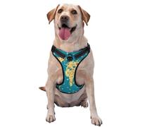 World Map with Landmarks Pattern Dog Harness - Lightweight,Soft,Adjustable Small Harness and Leash Set, Suitable for Puppy Small and Medium-Sized Dog-Small