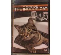 World of Cats, the Indoor Cat, Dvd, 60 Minutes,