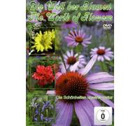 World of Flowers [DVD] [2009] [Region 1] [US Import] [NTSC]