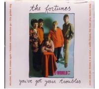 World of the Fortunes: You've Got Your Troubles