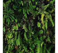 World of Wallpaper Kew Living Wall, Lightly Textured, Green/Black (66119)