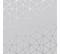 World Of Wallpaper Metro Prism Geometric Wallpaper Grey/silver (A361.ac-Bur)