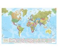 World Political Marco Polo Wall Map with Flags