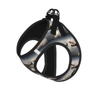 World War 2 Aircraft Airplane 2-Standard-Scale-2_00x Print Reflective Pet Leash Vest For Small Dogs & Cats, Adjustable Outdoor Walking Hiking Vest