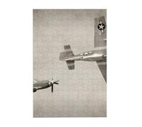 World War 2 Aircraft Airplane Pattern Printed Wooden Puzzle 300 Piece, Cute Puzzle Game in Plastic Box for Family Entertainment and Brain Training Gifts