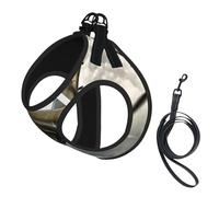 World War Aircraft Airplane Print Adjustable Harness Leash Set For Cats And Dogs, Soft Breathable Kitten Puppy Mesh Vest With Reflective Design, Escape-Proof Lead For Small Pets Walking Training
